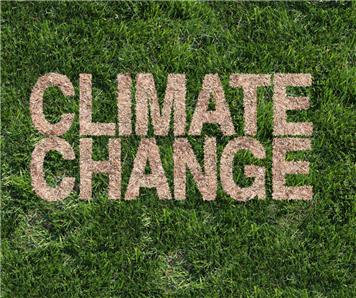  - Residents and organisations across Wealden are being asked to take part in a climate change survey
